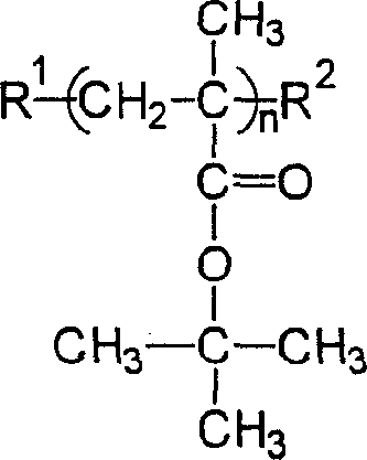 Preparation of polymethyl tert-butyl acrylate large molecular monomer by atom transfer radial