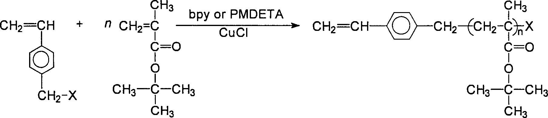 Preparation of polymethyl tert-butyl acrylate large molecular monomer by atom transfer radial