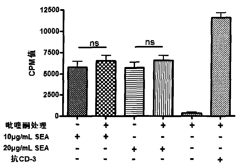 Application of praziquantel in preparing hepatic stellate cell activator-inhibitor