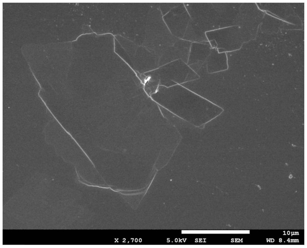 A kind of pa6 nanocomposite material and preparation method thereof