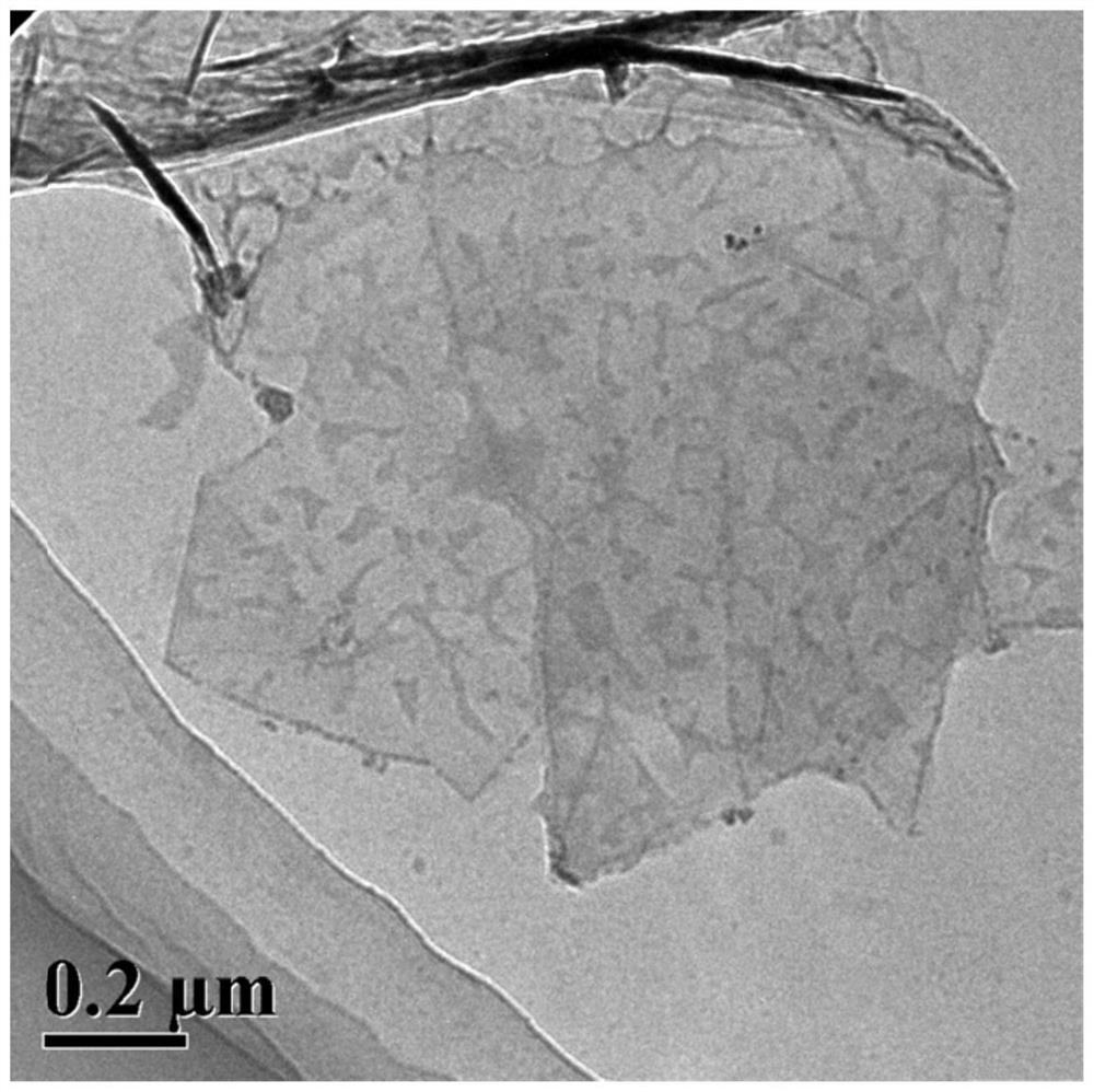 A kind of pa6 nanocomposite material and preparation method thereof