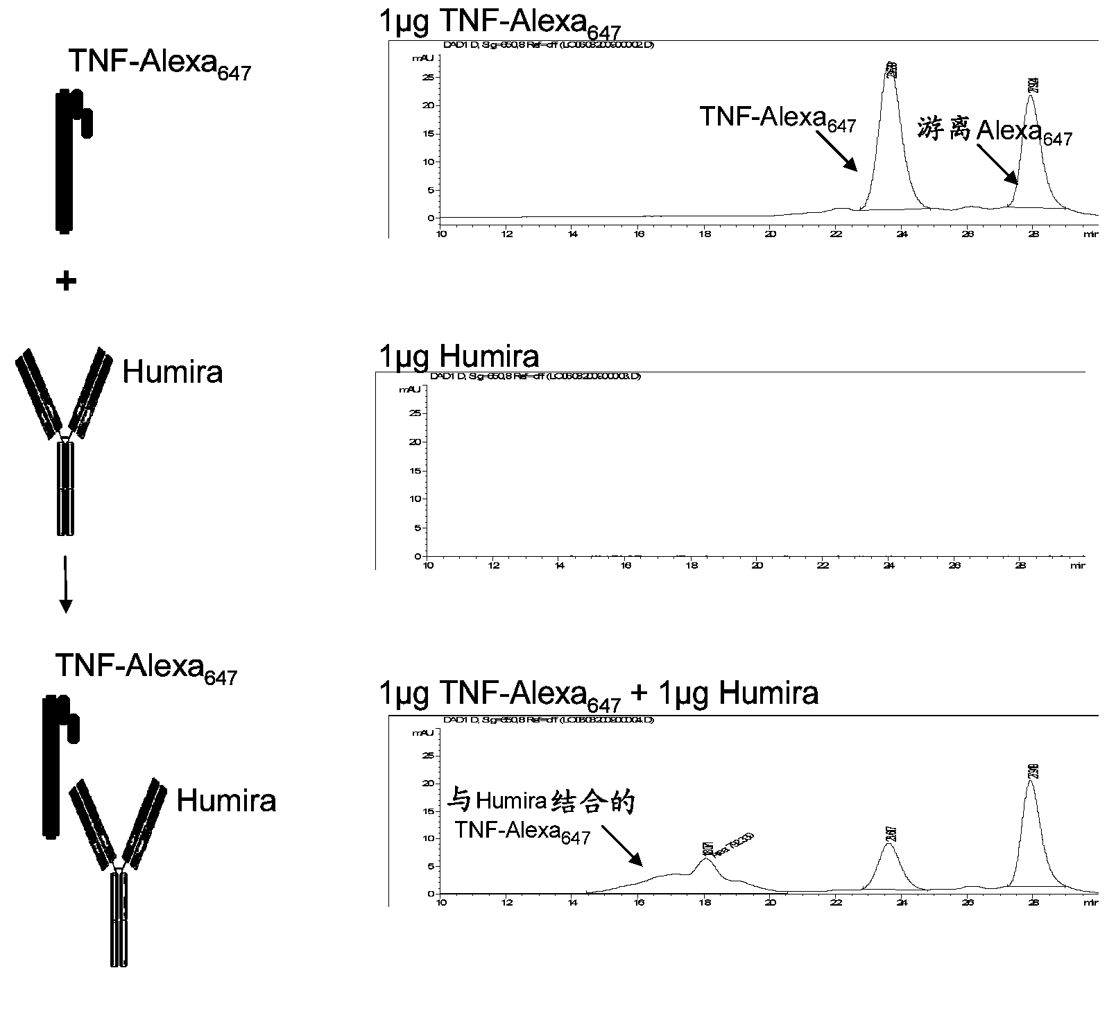 Methods for determining anti-drug antibody isotypes