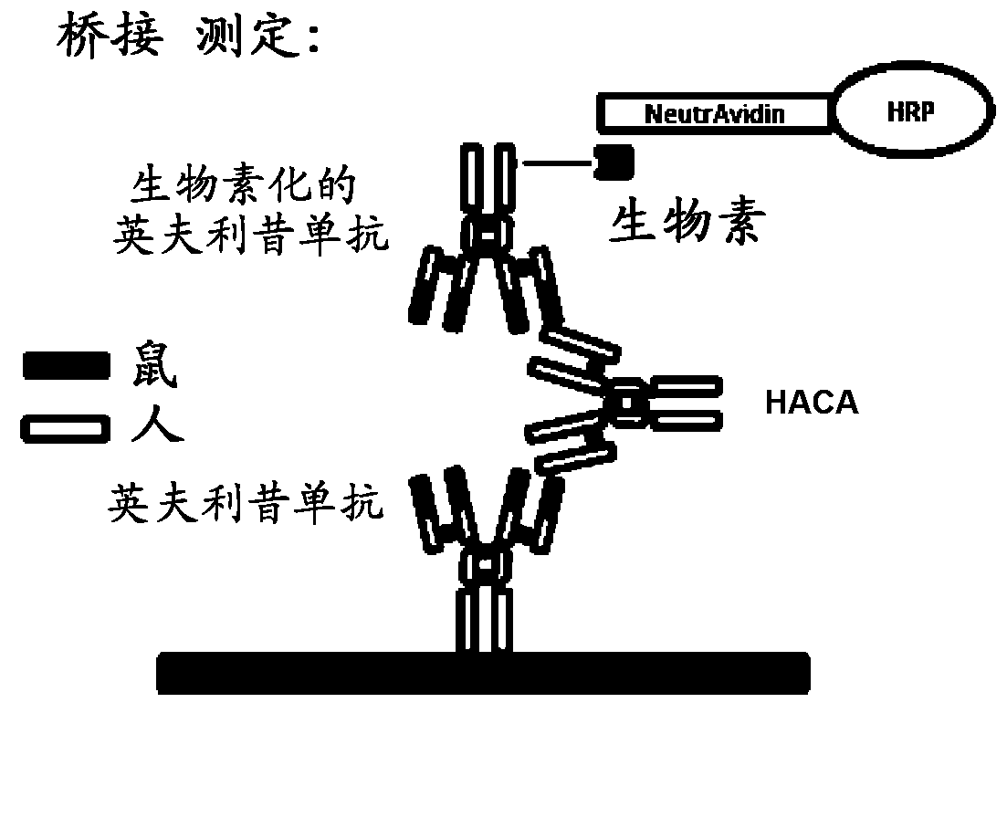 Methods for determining anti-drug antibody isotypes