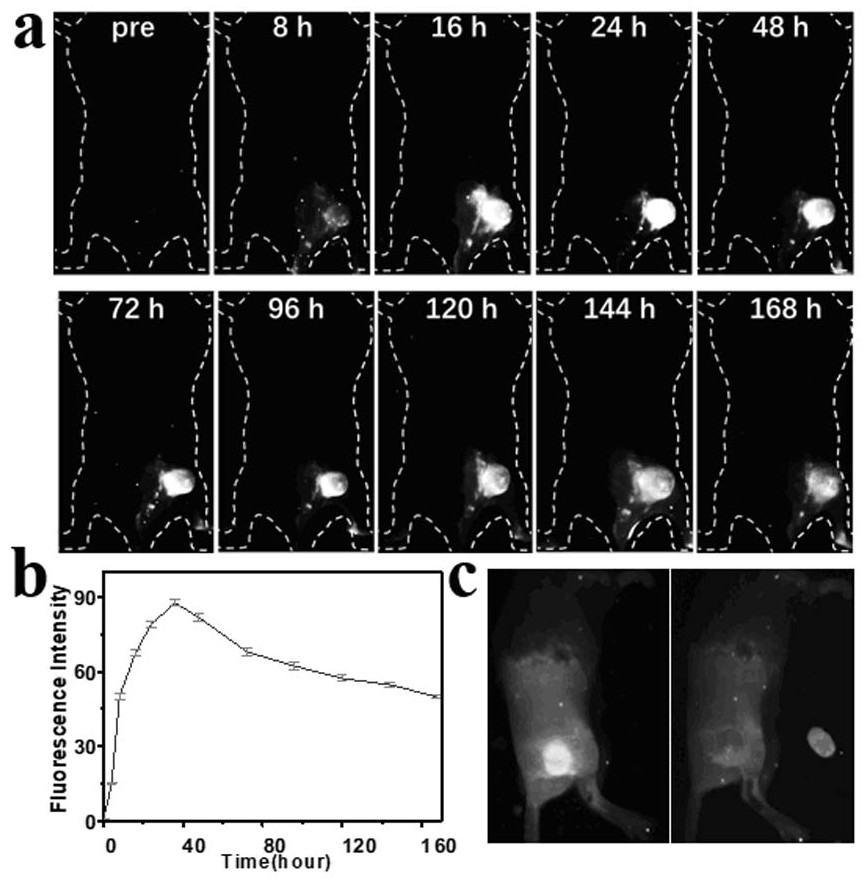 High-stability near-infrared second region nano-fluorescence probe and its preparation method and application