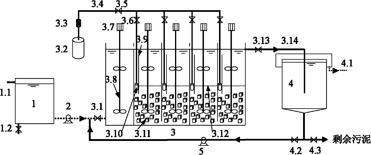 Device and method for denitrification of single stage autotroph in low-cellulose nitrate (CN) high-ammonia nitrogen waste water