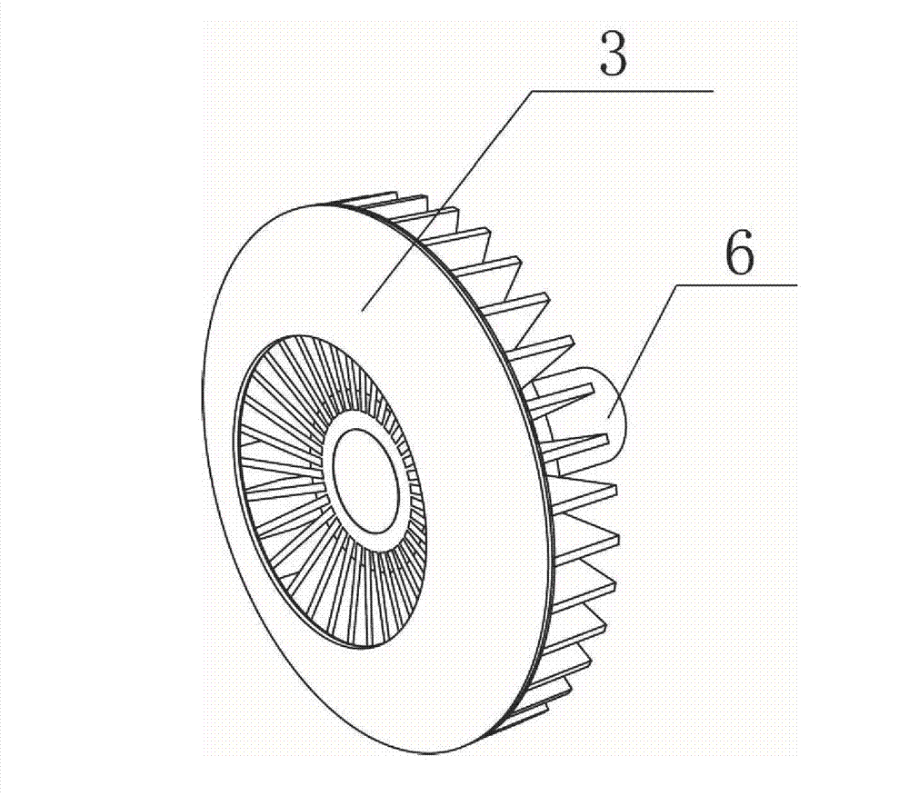 Shower massage nozzle