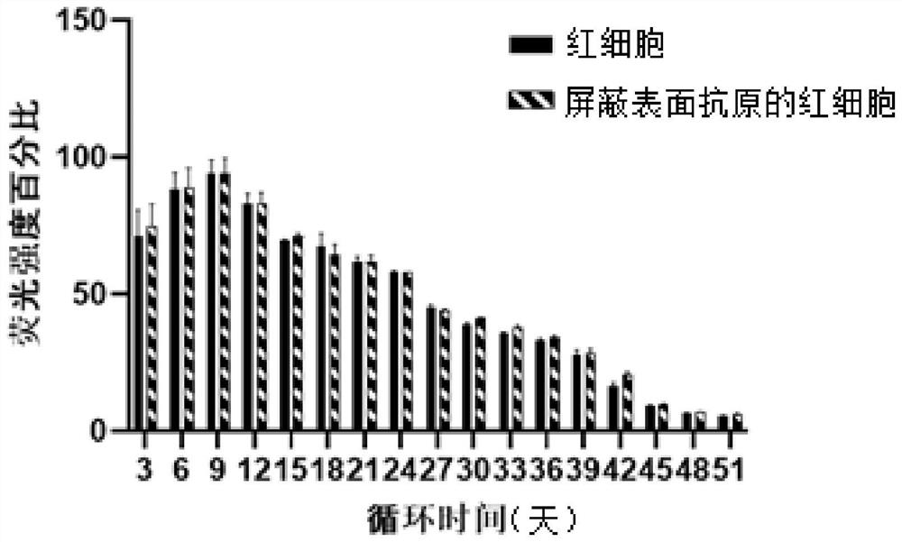 Mineralization reagent for shielding erythrocyte surface antigen and application thereof