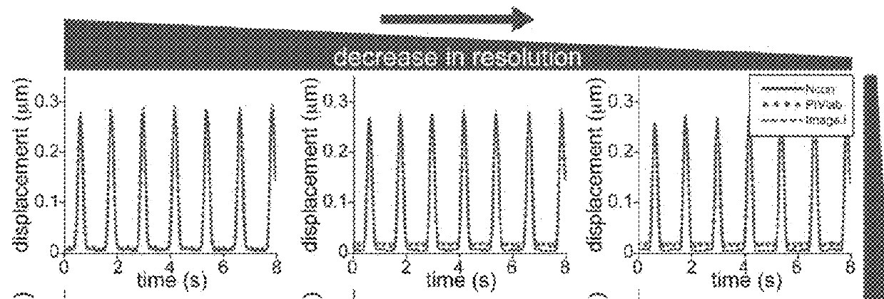 High throughput cardiotoxicity screening platform