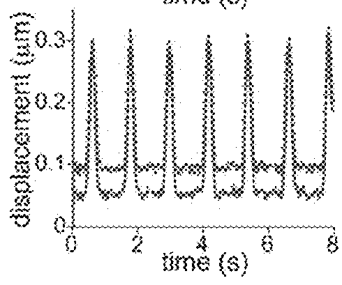 High throughput cardiotoxicity screening platform