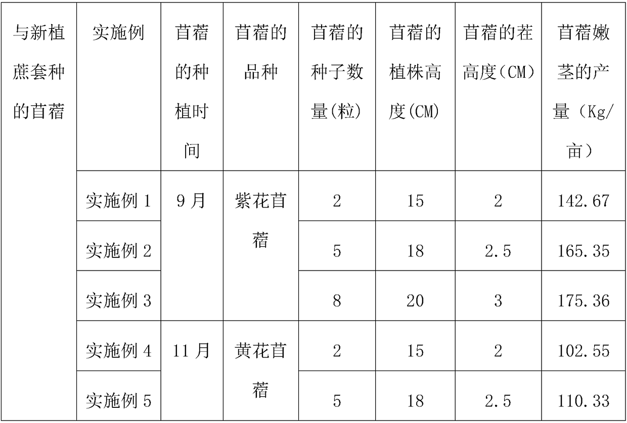 Sugarcane and alfalfa interplanting method