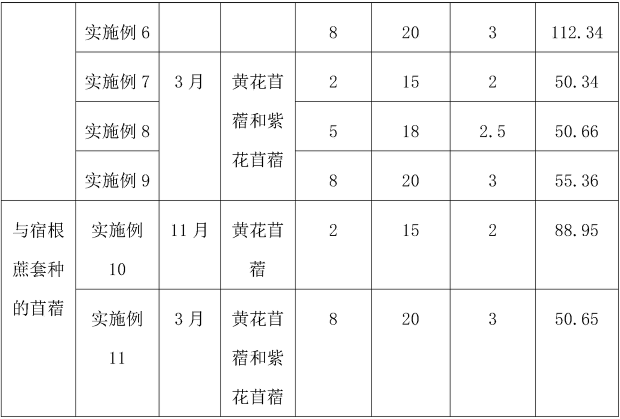 Sugarcane and alfalfa interplanting method