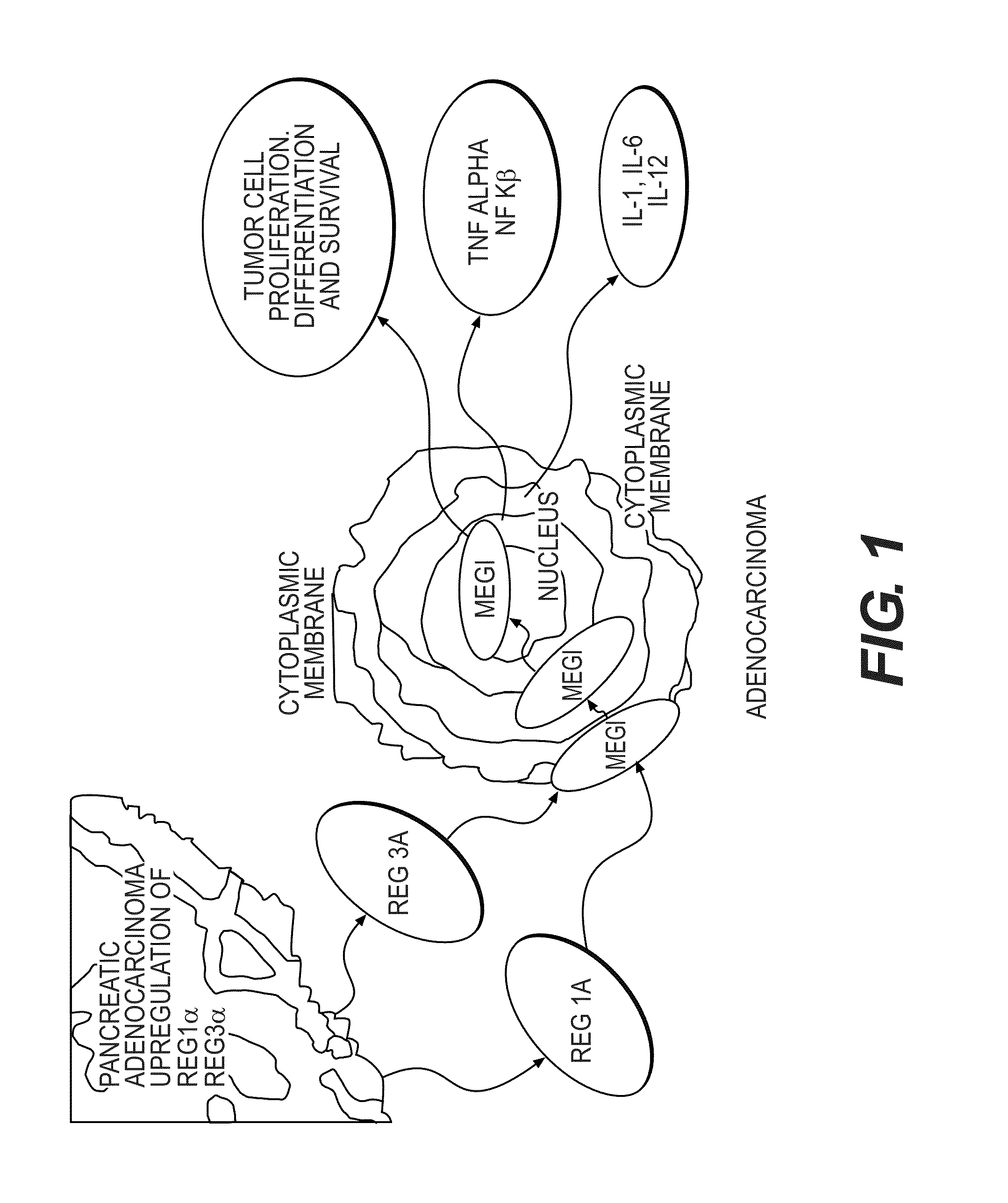 Early Diagnosis and Novel Treatment of Cancer