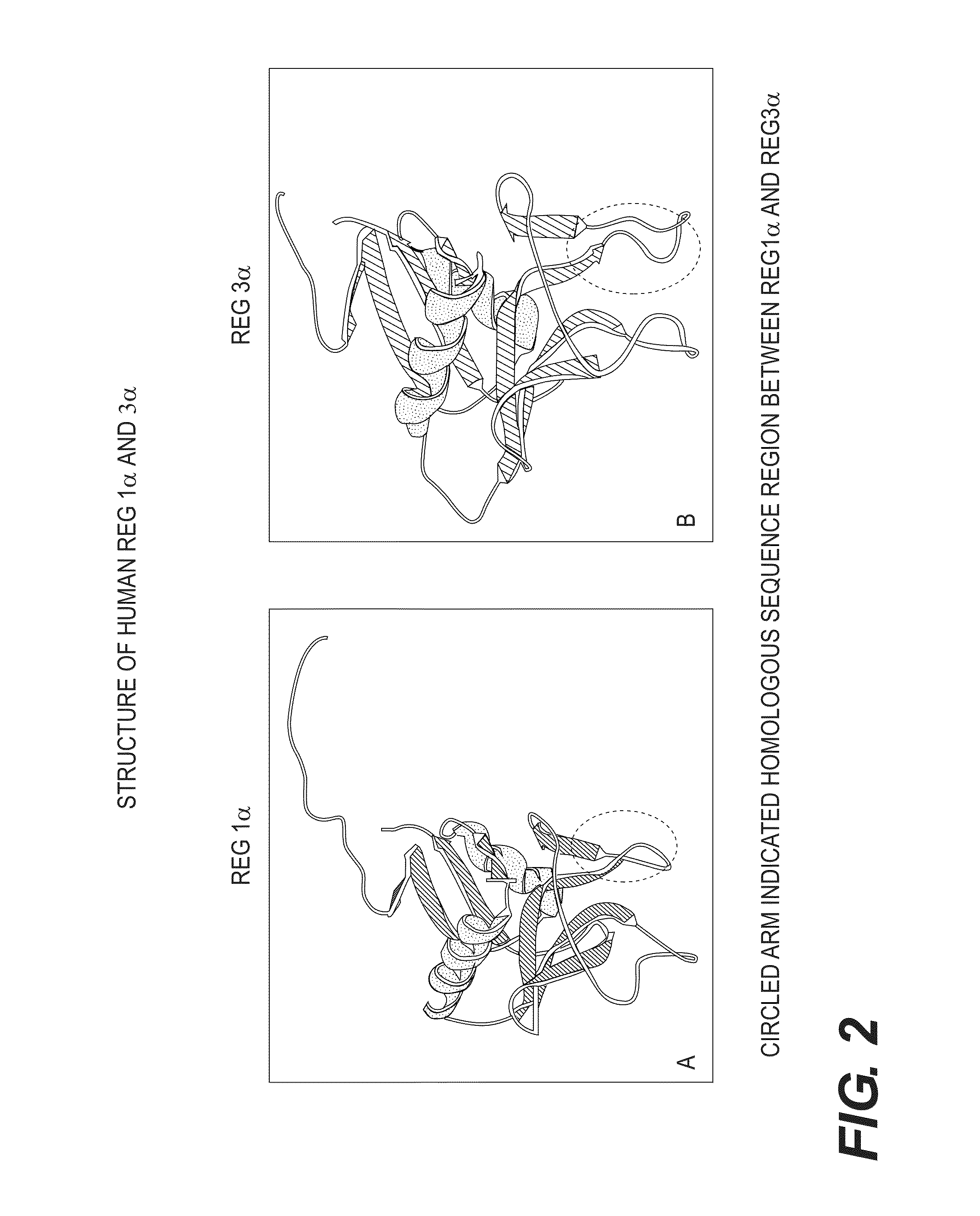 Early Diagnosis and Novel Treatment of Cancer