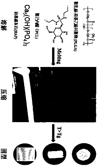 3D printing scaffold material for icariin (ICA)-loaded PLGA microspheres and application of 3D printing scaffold material