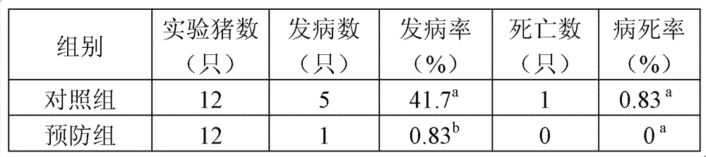 Oral medicament for treating white scour of piglets and preparation method thereof