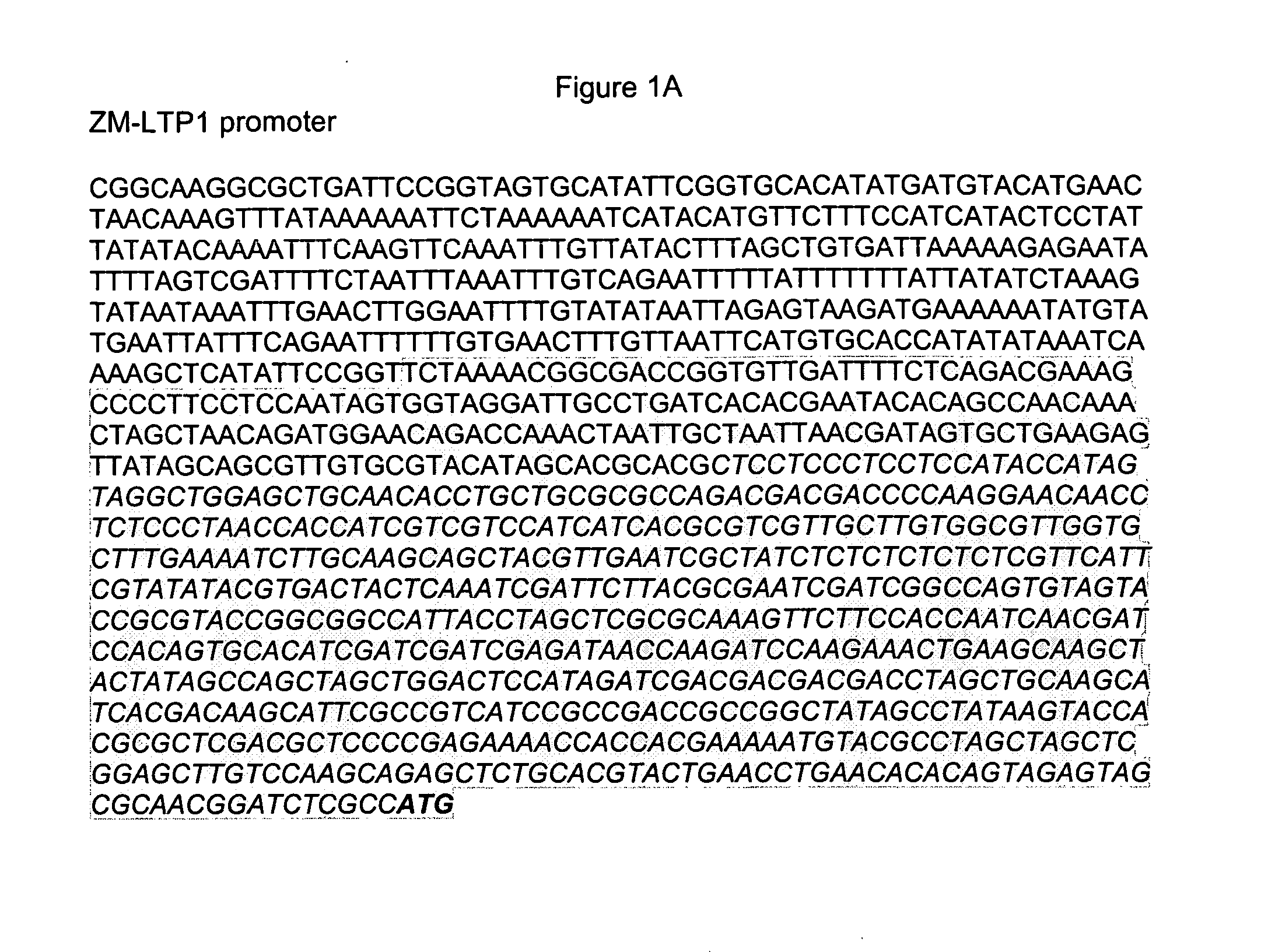 Pericarp-preferred regulatory element