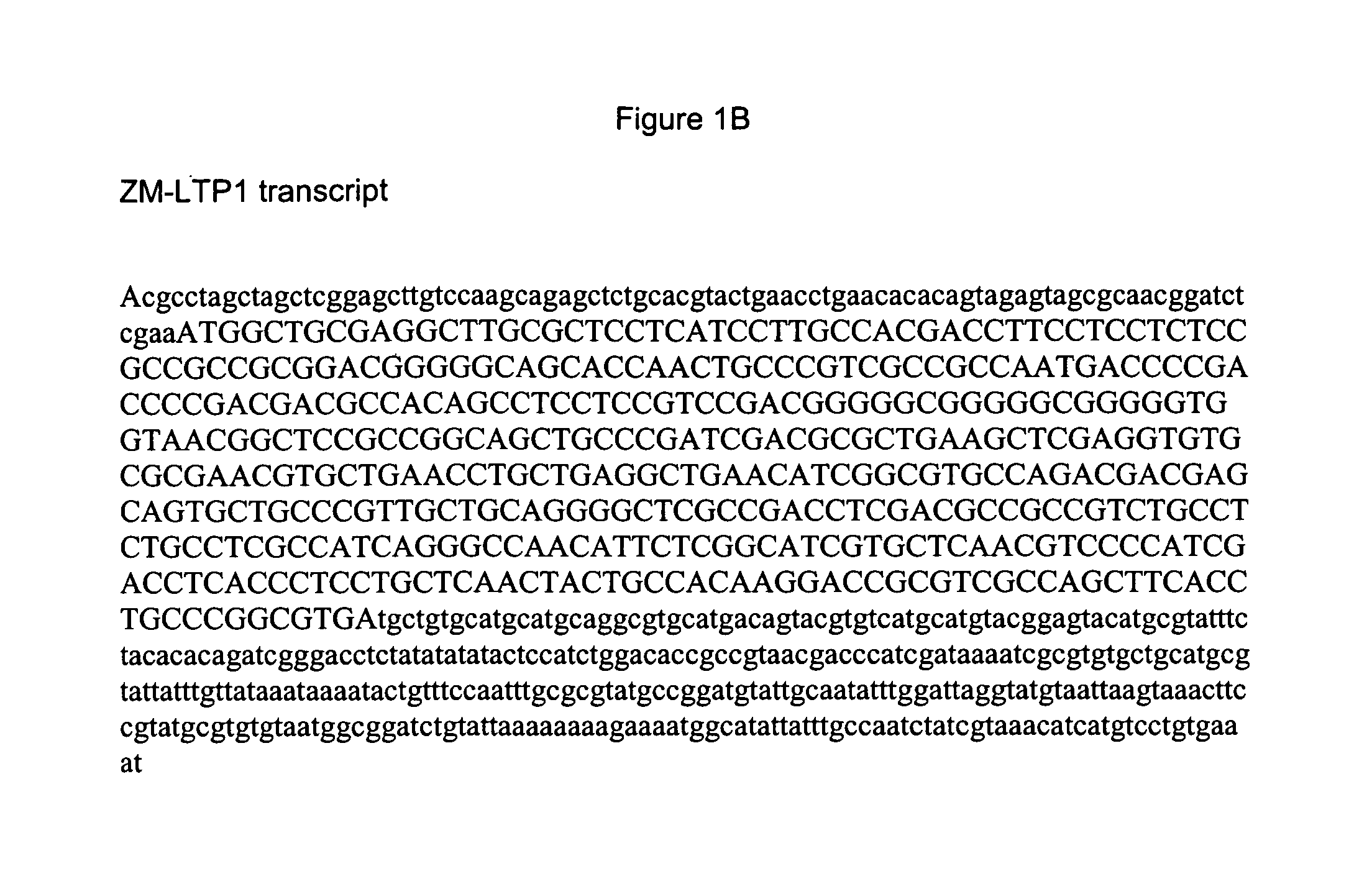 Pericarp-preferred regulatory element