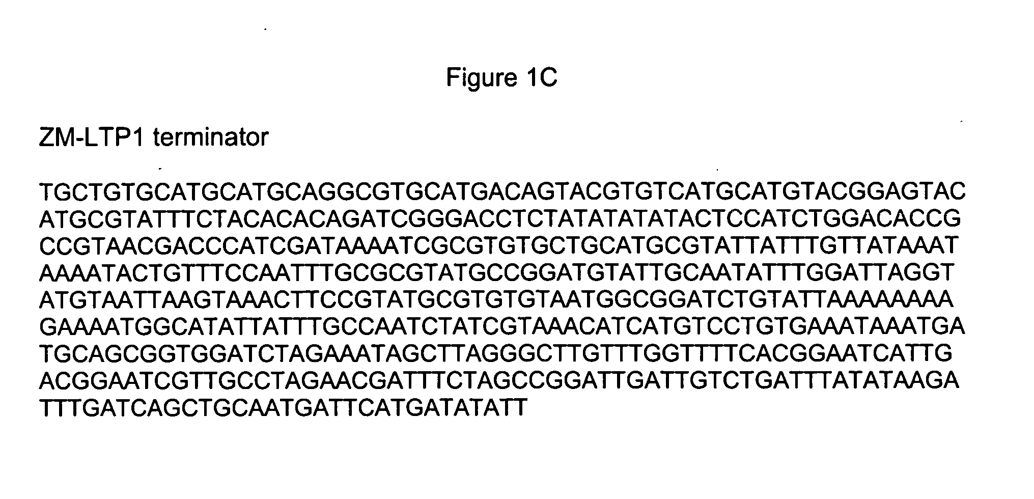 Pericarp-preferred regulatory element