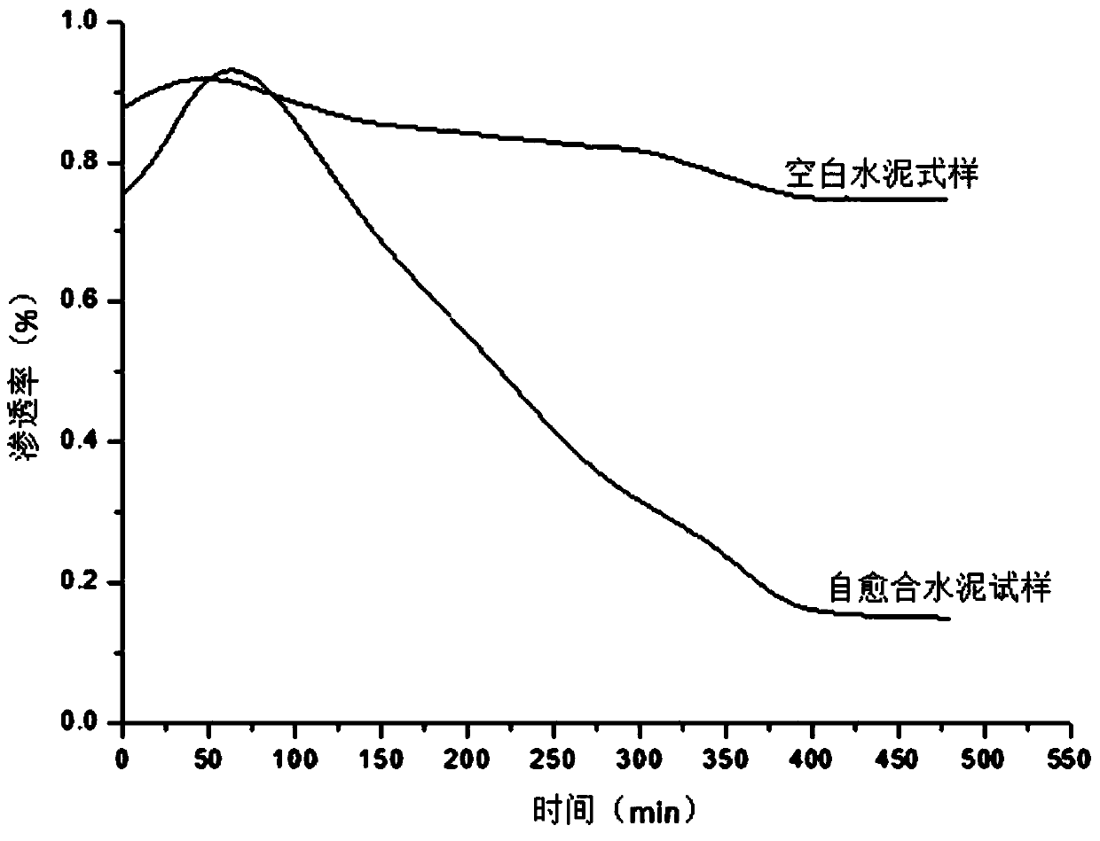 Oil well cement paste self-healing agent suitable for acid gas pool