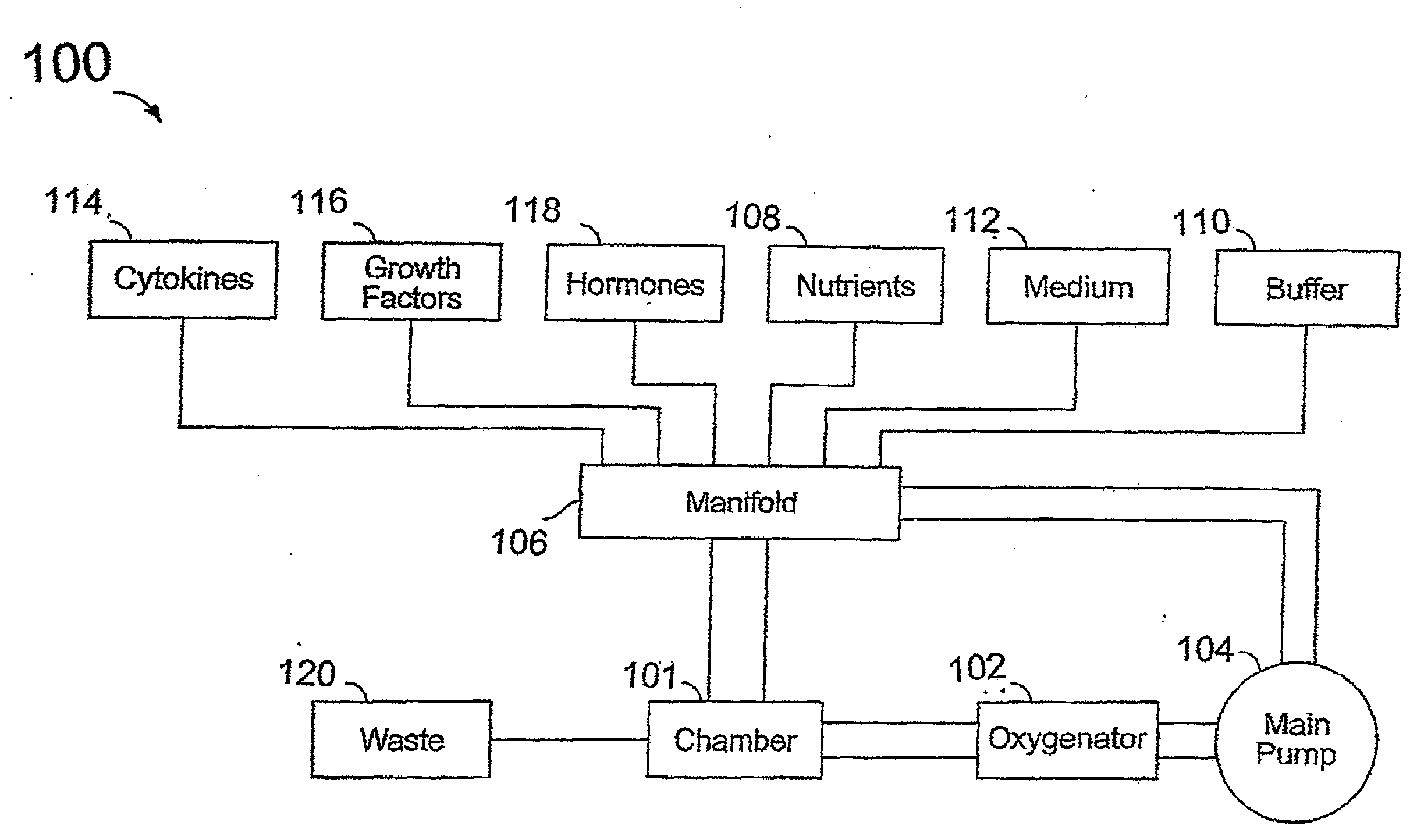 Composition and method for producing composition for constructing tissue, and tissue construct