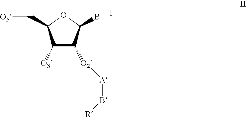 Oligonucleotides having A-DNA form and B-DNA form conformational geometry