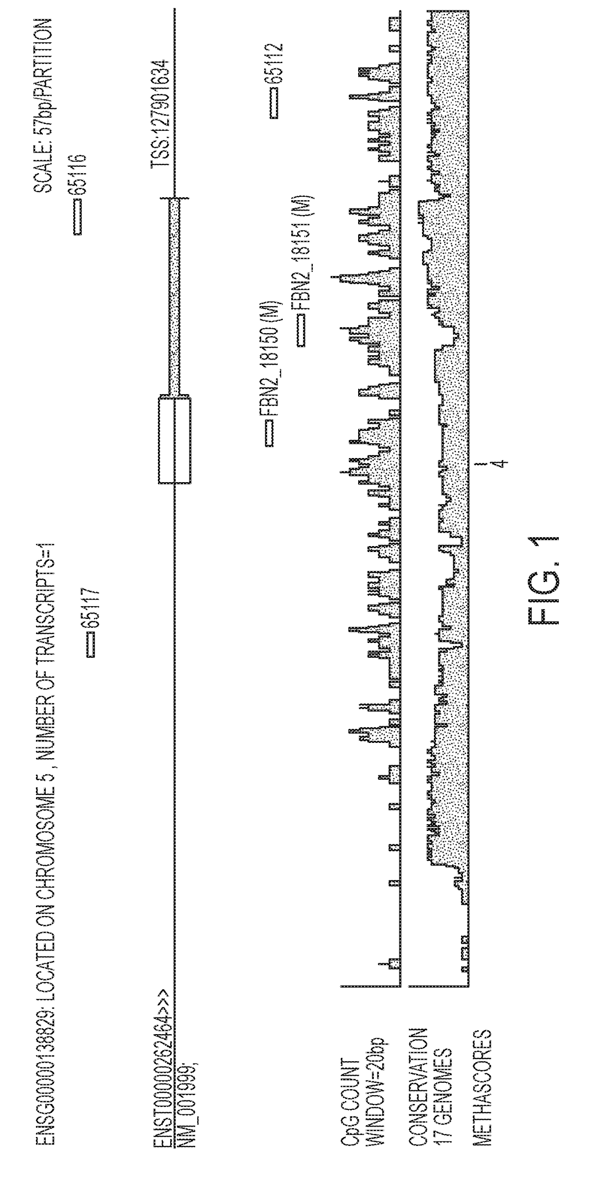 Detection and Prognosis of Lung Cancer