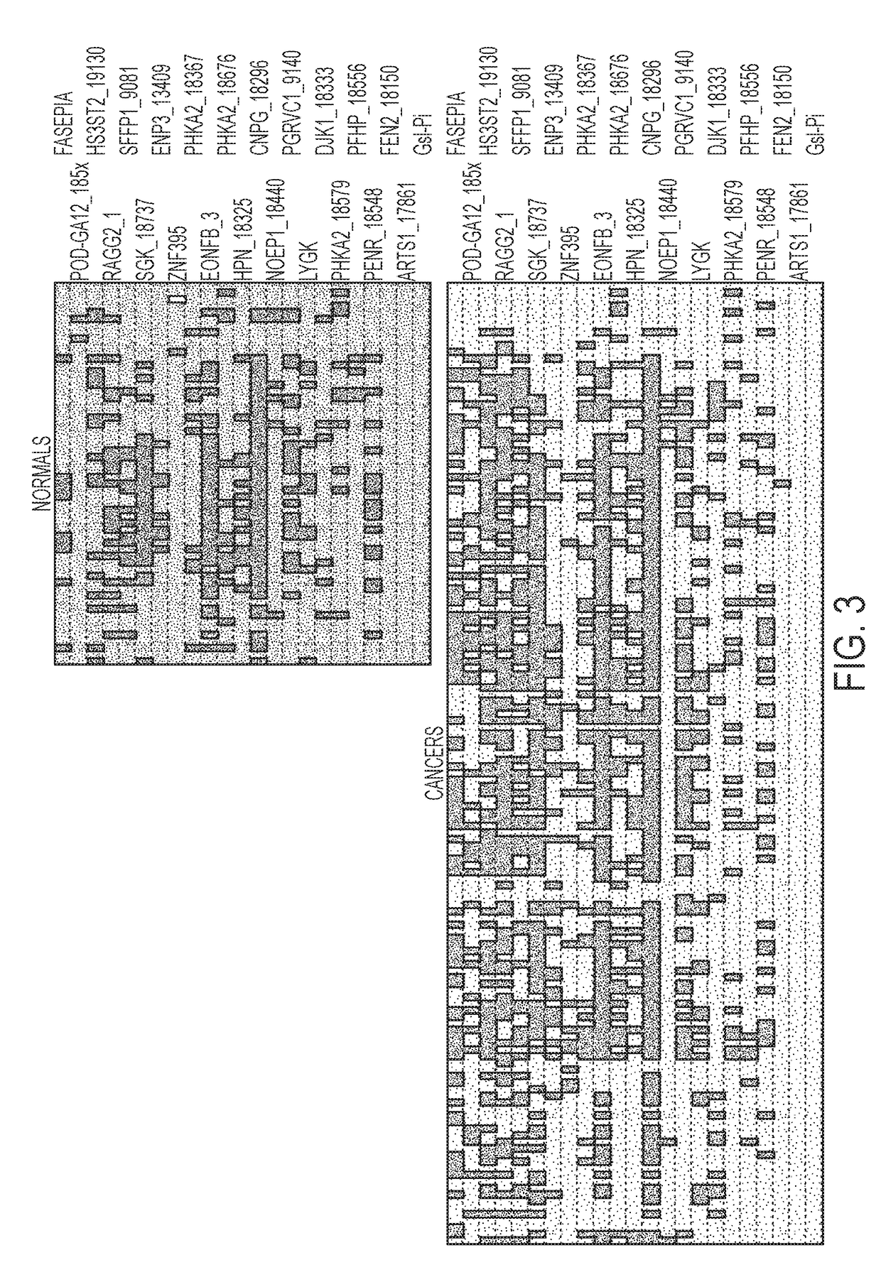 Detection and Prognosis of Lung Cancer