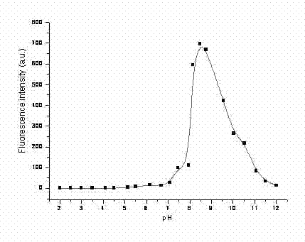 Novel pH response fluorescent molecular probe and application thereof