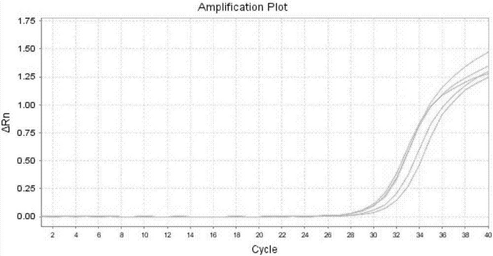 Method for quickly detecting CYP2C19 genetic polymorphism and kit