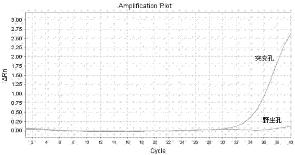 Method for quickly detecting CYP2C19 genetic polymorphism and kit