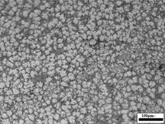 Method for obtaining fine primary alpha-Al equiaxed grains in zinc-aluminum alloy