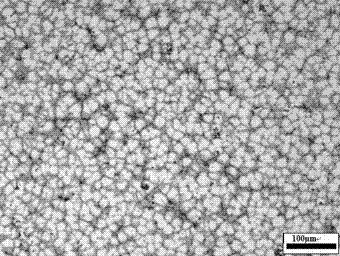 Method for obtaining fine primary alpha-Al equiaxed grains in zinc-aluminum alloy