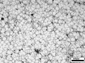 Method for obtaining fine primary alpha-Al equiaxed grains in zinc-aluminum alloy