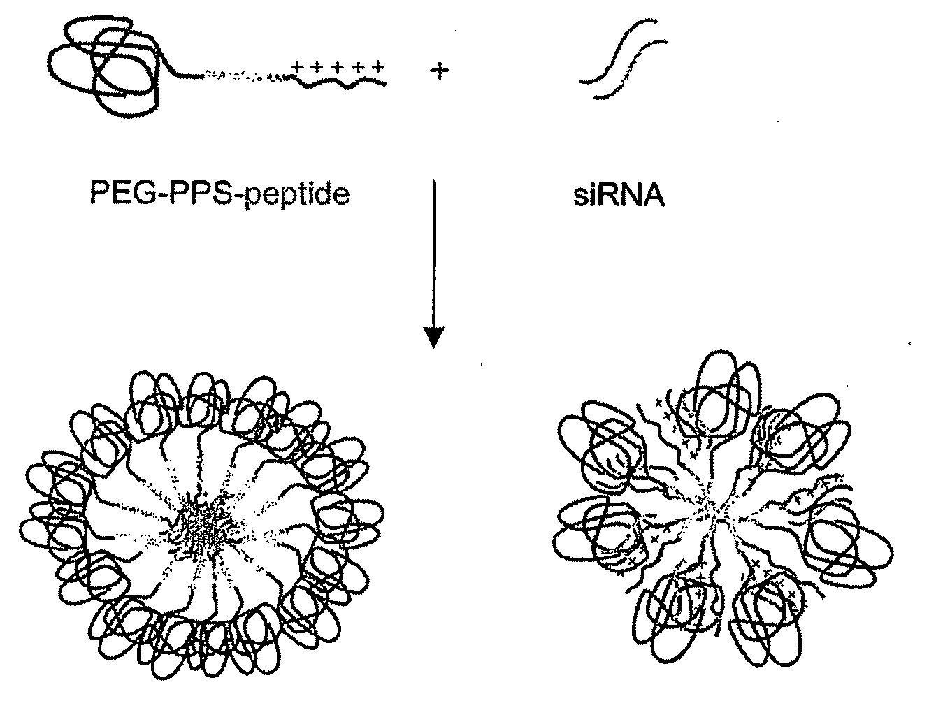 Triblock copolymers for cytoplasmic delivery of gene-based drugs