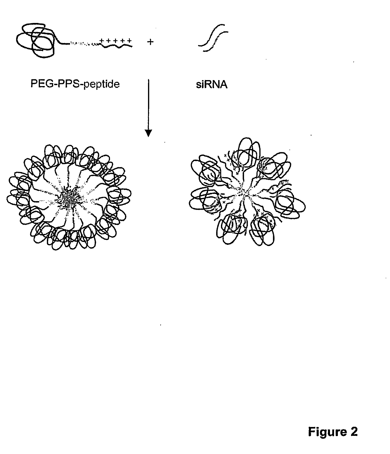 Triblock copolymers for cytoplasmic delivery of gene-based drugs