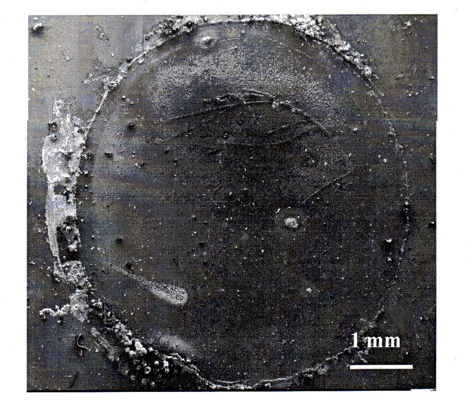 High-toughness single-phase solid solution magnesium rare earth-based alloy at room temperature and preparation method thereof