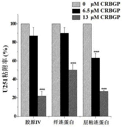 Application of lamprey CRBGP in preparation of drug for resisting malignant glioma