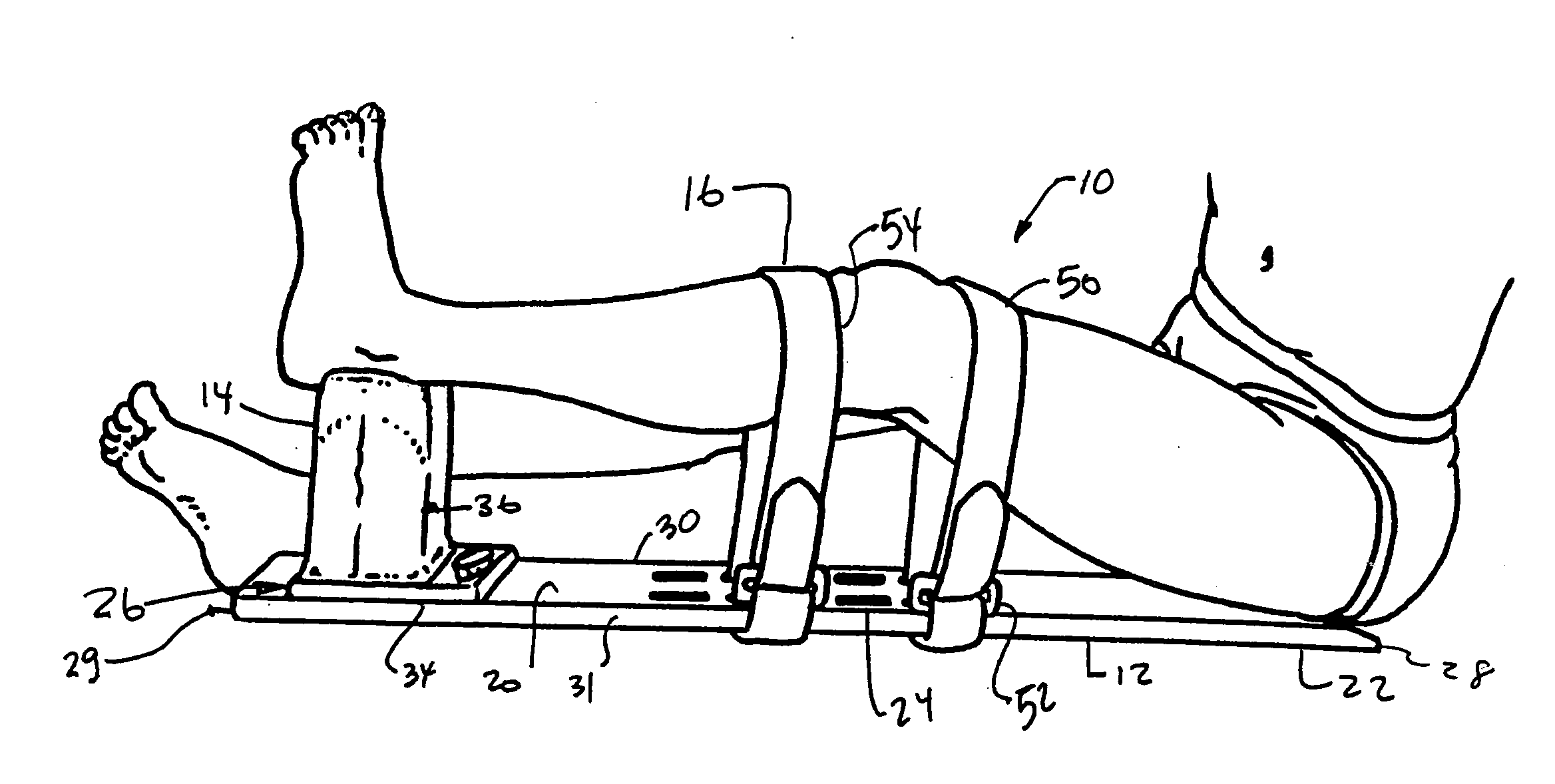 Knee extension apparatus