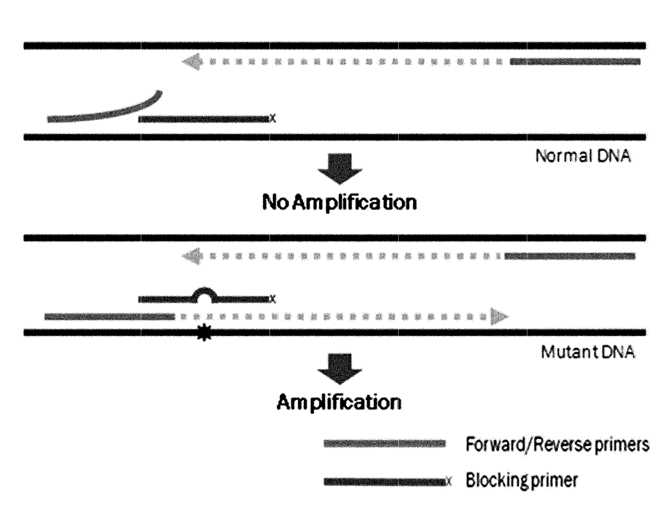 Method for detecting genetic mutation by using a blocking primer