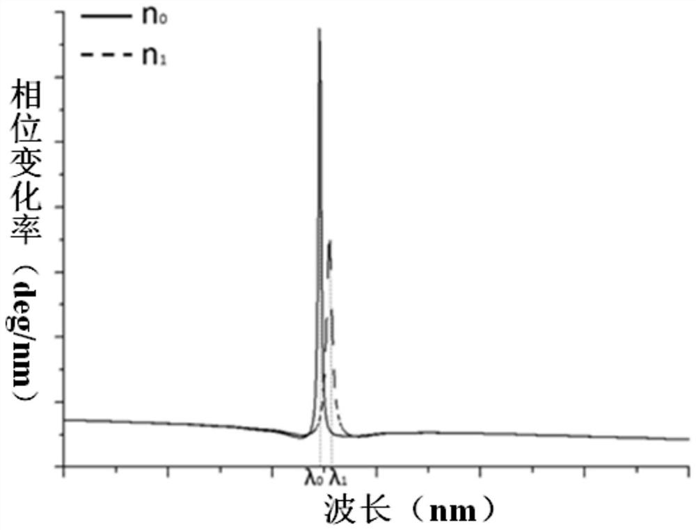 A phase-type spr detection device and method based on interference spectroscopy