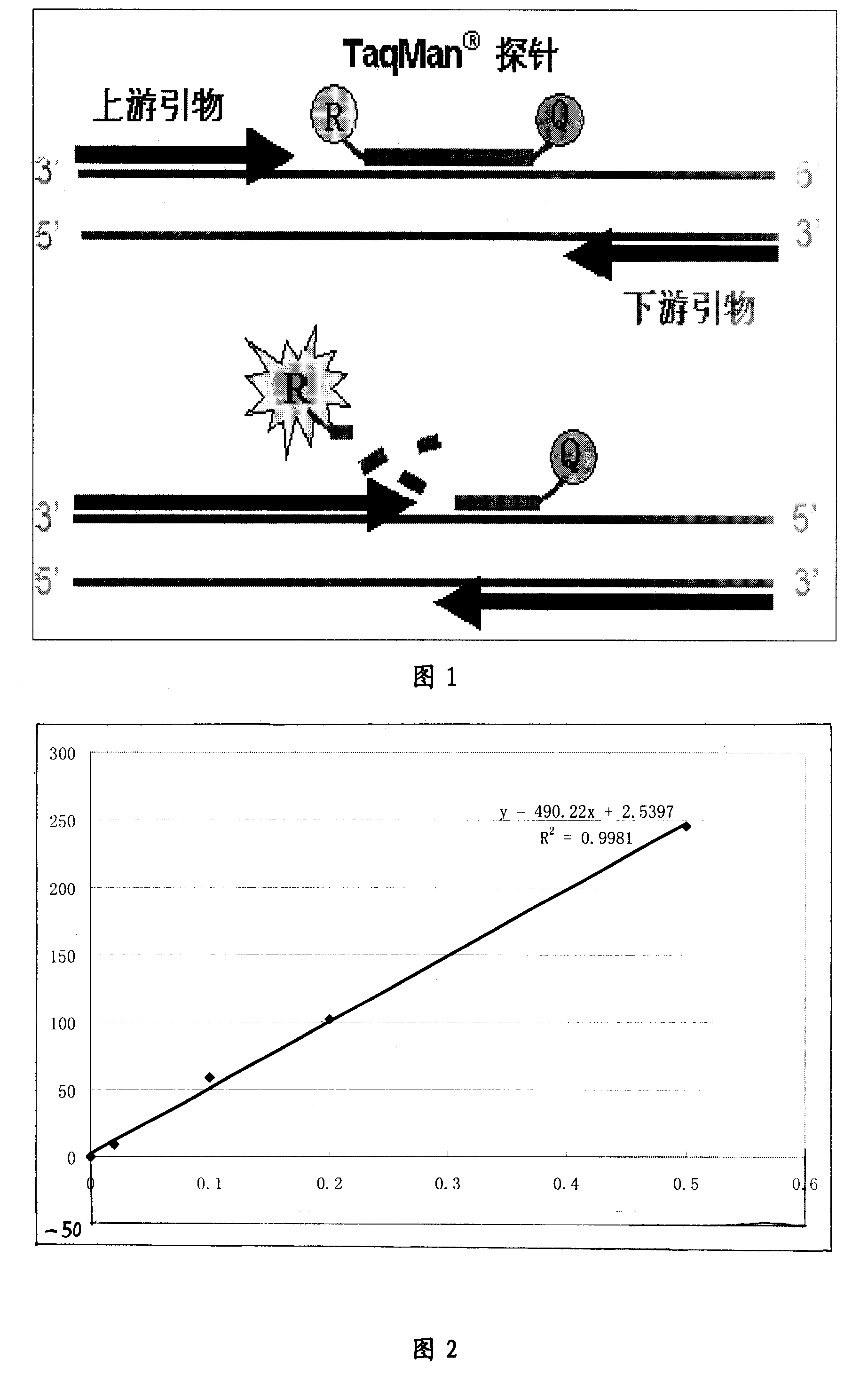 Primer and probe of west nile virus and real time RT-PCR detection reagent kit with one-step method