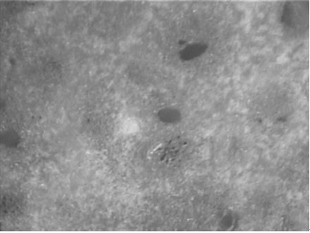 A preparation method of a partially gelatinized nasal cavity swelling hemostatic sponge