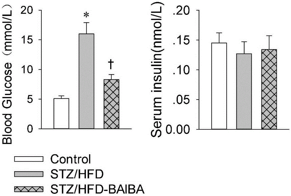 Application of BAIBA (beta-aminoisobutyric acid) in preparation of anti-DM (diabetes mellitus) drugs