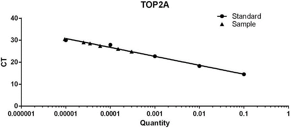 Fluorescent quantitative PCR (polymerase chain reaction) detection kit for TOP2A (topoisomerase2A) gene expression quantity and application of kit