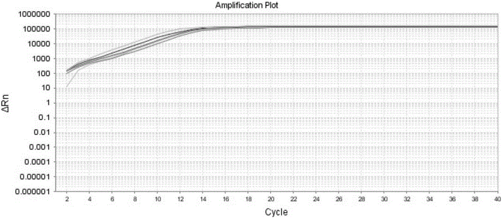 Fluorescent quantitative PCR (polymerase chain reaction) detection kit for TOP2A (topoisomerase2A) gene expression quantity and application of kit