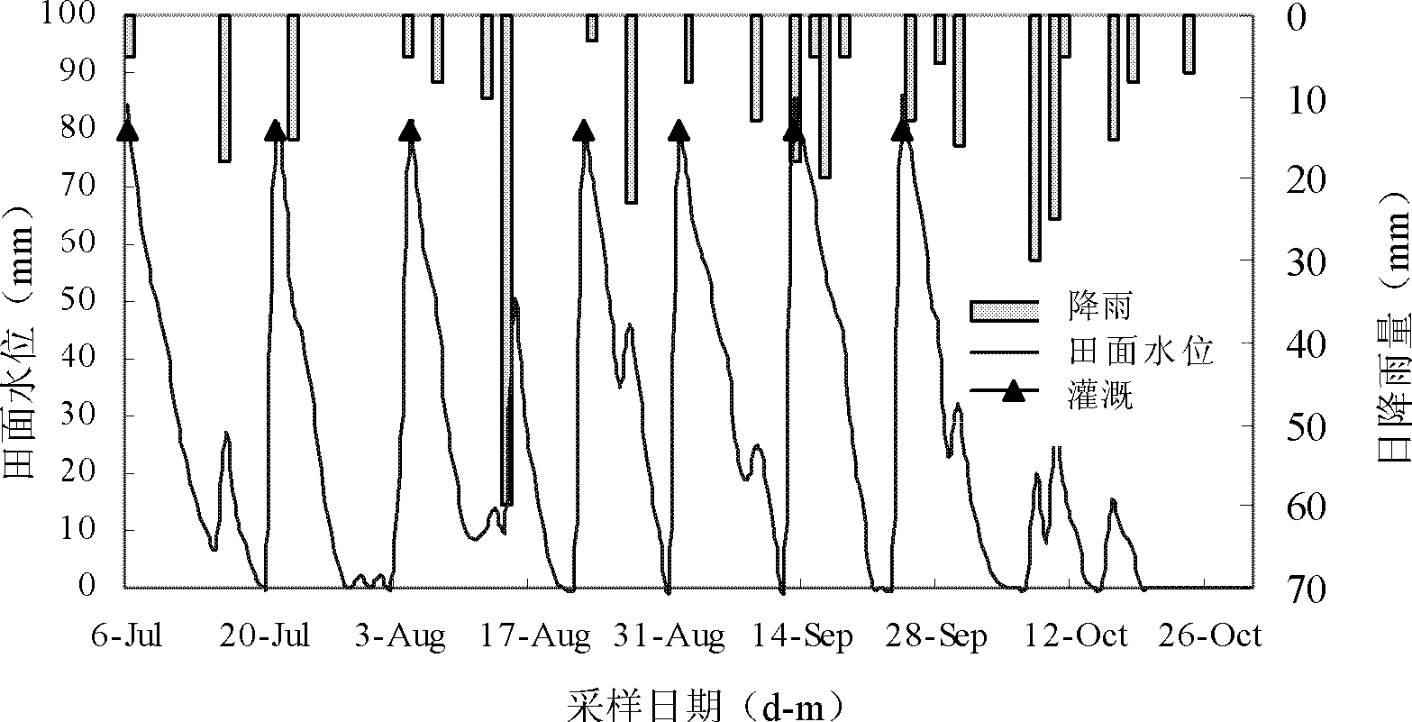 Ecological irrigation method for combining rainfall regime with physiological water requirement of rice