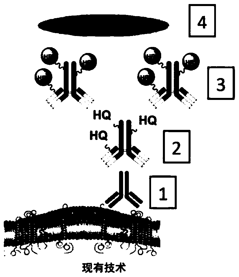 Methods and systems for quantitative immunohistochemistry