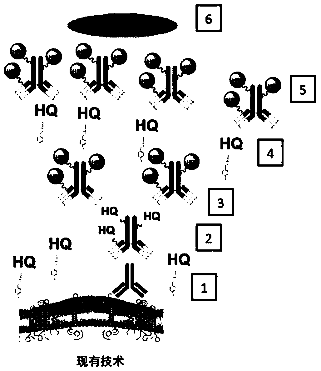 Methods and systems for quantitative immunohistochemistry