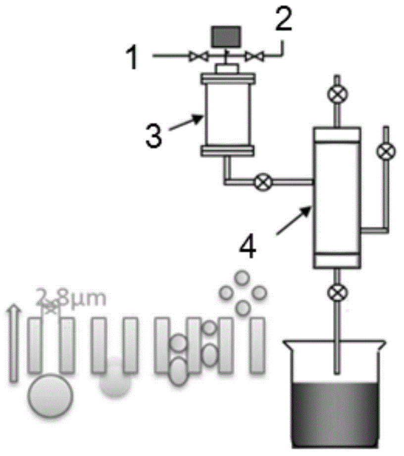 W/O vaccine oil adjuvant formulation and preparation method thereof