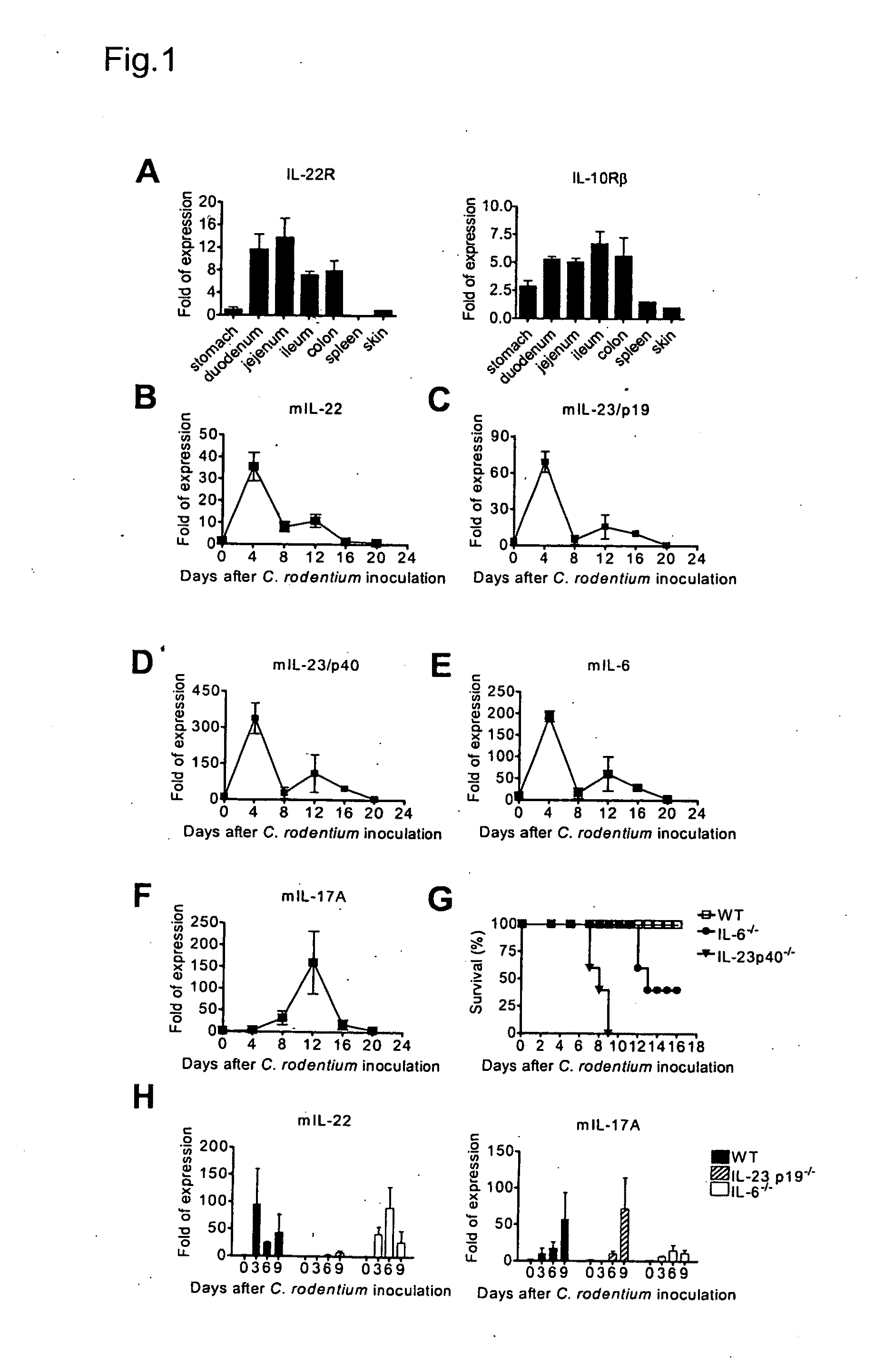 Methods for treatment of microbial disorders